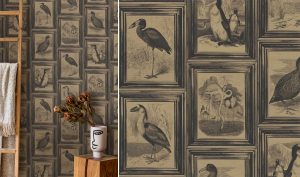 vintage prints from nature from Newmor add a note of biophilic design to the interior