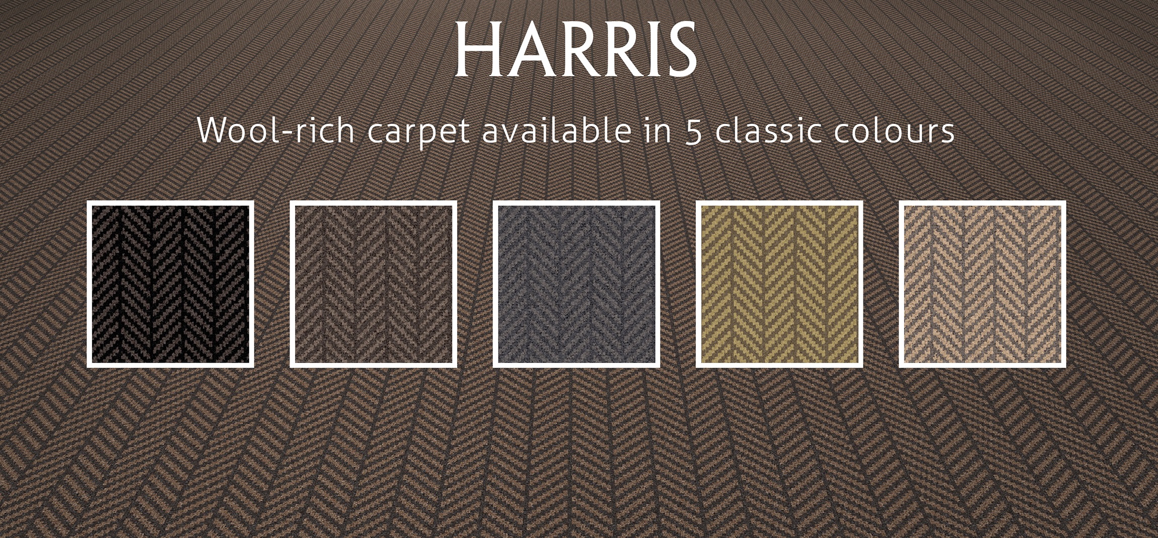 Harris by Wilton Carpets