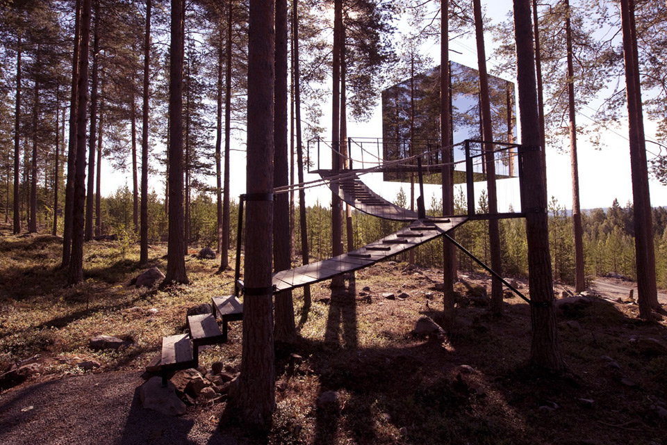glass structure in the woods