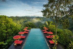 red parasols and an infinity pol on the edge of the jungle at Banyan Tree group hotel