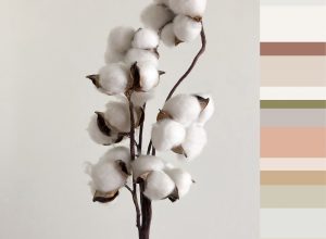 Newmor moodboard for Cocoon colour trend