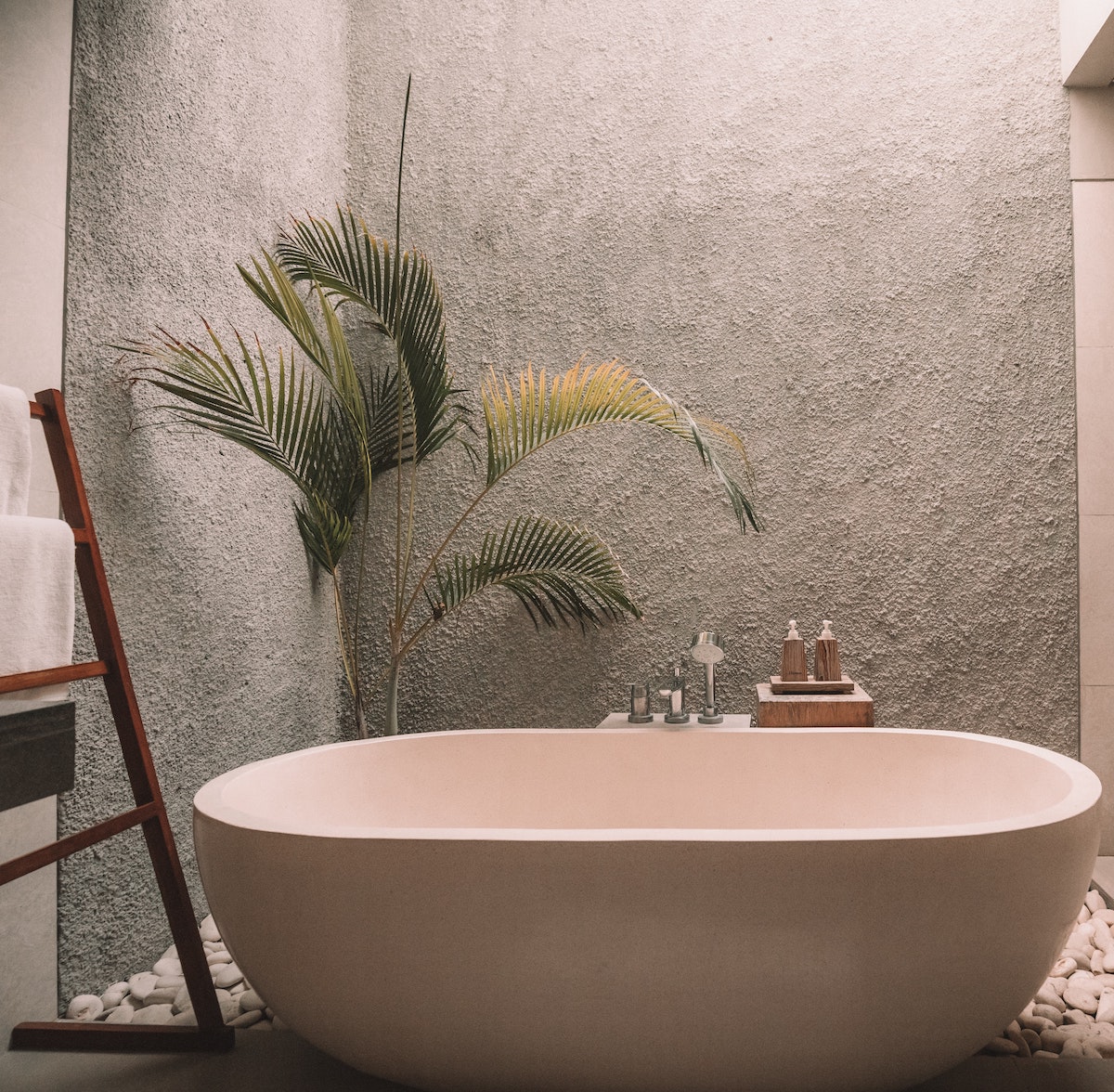A plant in modern bathroom that has contemporary design
