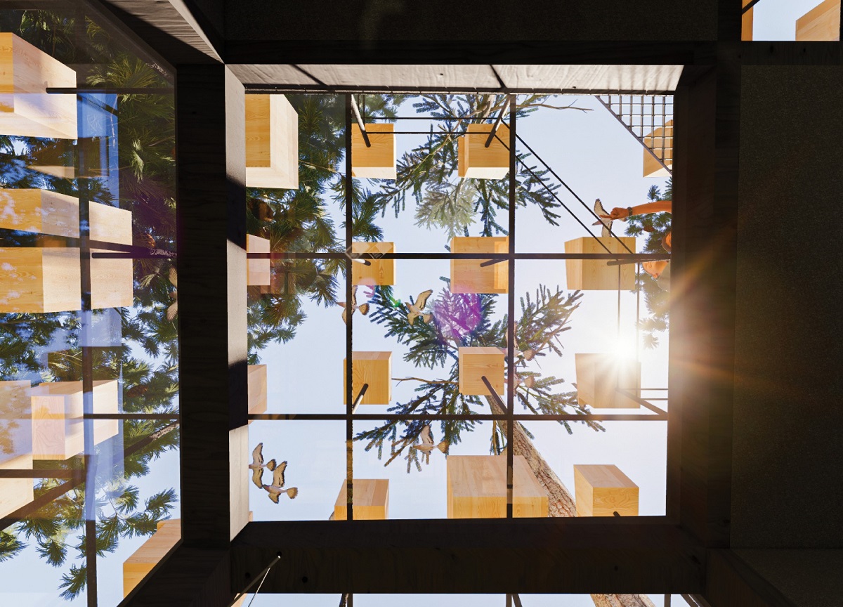 looking up and out at the birdhouses in Treehotel by BIG