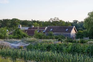 a view over the organic kitchen garden at Retreat East