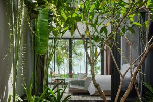 view through tropical plants to guest villa at Regent Phu Quoc designed by BLINK