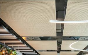 HONEXT panels from Lathams suspended from the ceiling as accoustic clouds