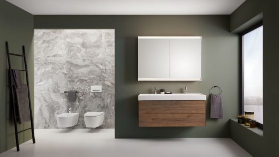 Geberit bathroom fittings against a gree wall with wooden detail