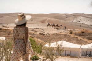 camels and tents at Caravan Agafay Habitas in Morocco