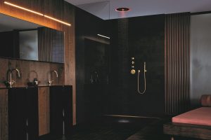 black and wood finish bathroom with rain shower by dornbracht