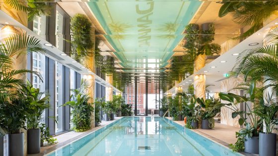 indoor swimming pool at Damac Tower with plants by Leaflike