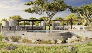 view across the swimming pool at Angama Amboseli with concrete grey surfaces reflecting the grey of the elephants