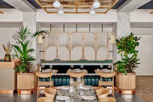 wood and plants warm up the stripped back concrete interior in WunderLocke in Munich by Locke Hotels