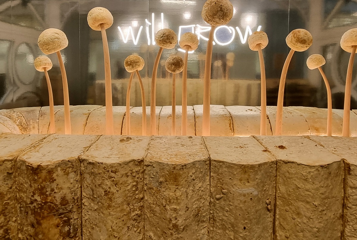 mycelium surface design of Mush Room by design studio WeWantMore for HIX 2022