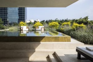 R48 hotel rooftop pool with surrounded by planting by Piet Oudolf