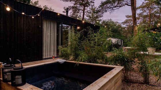 external view of Mori tinyhouse in the forest with fairylights and plungepool
