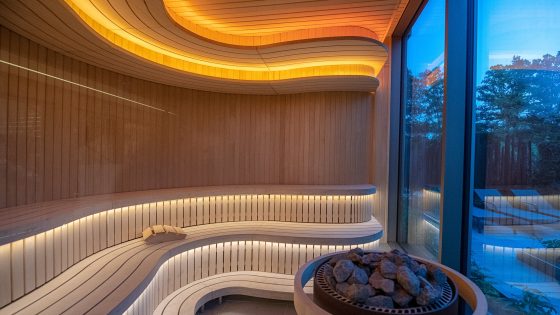 organic curves in the sauna at Sopwell House designed by Sparcstudio