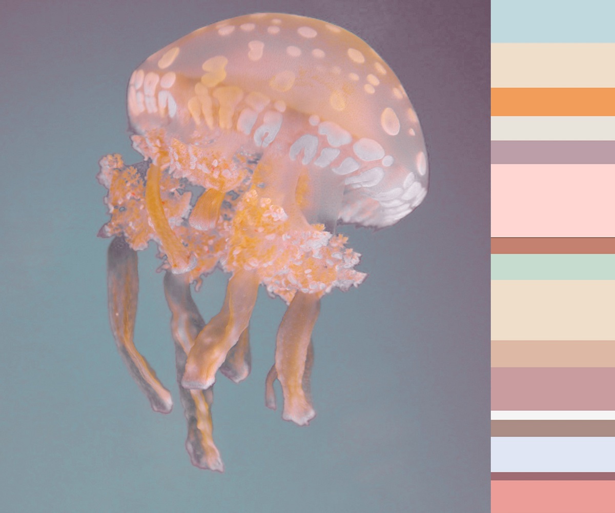 etheral jellyfish tones in meta morphosis colours palette