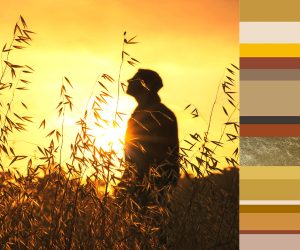 walking on sunshine colours palette is part of Newmor wallcoverings 2023 trend forecast