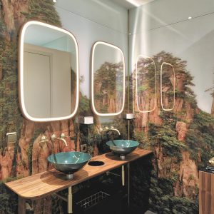 cloakroom with Dornbracht and Alape fittings against feature wallpaper mural of a mountain and natural vista