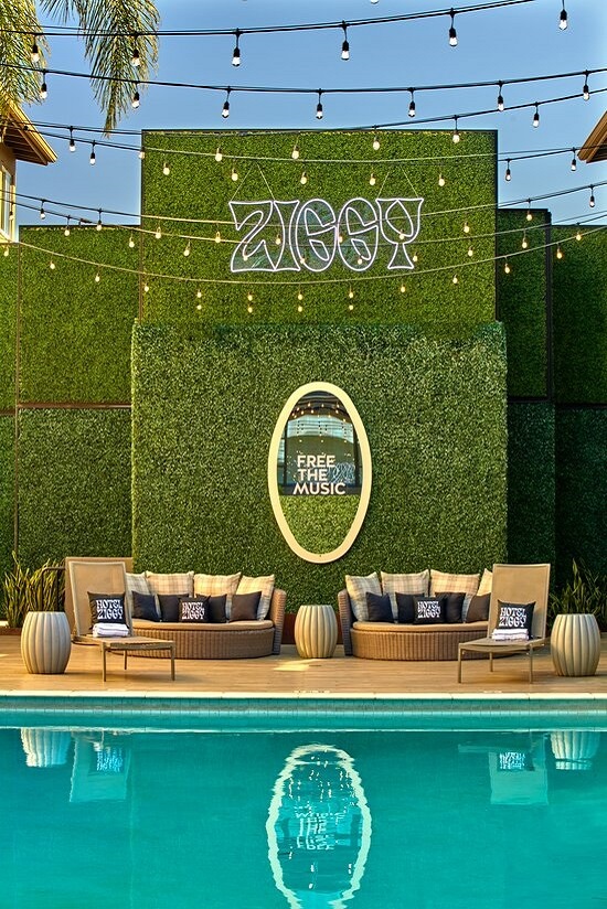 free the music logo on plant wall by pool at Hotel Ziggy