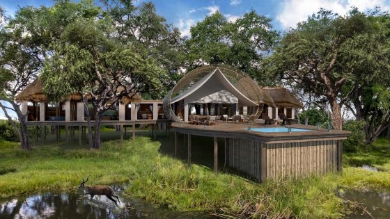 render showing private suite and swimming pool with thatched cabin overlooking the water of okovango delta at sitatunga Private Island
