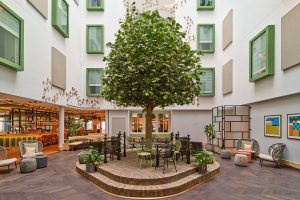 tree in the courtyard outside voco the hague representing the tree planting initiative of the hotel