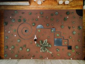 aerial view of cactus garden with abstract sculptural shapes at hotel flavia