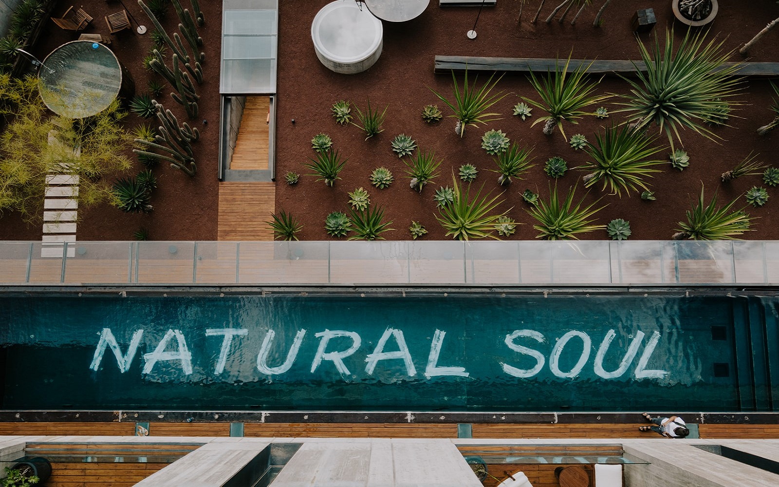 swimming pool with text on the floor surrounded by sculptural garden