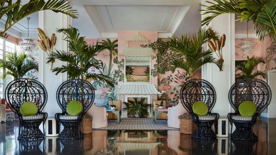 pink walls, palm trees rattan chairs in the lobby at The colony Palm Beach