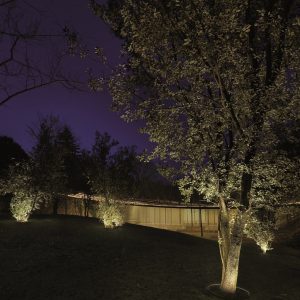 Vercle ambient garden lighting lighting up a tree and structural details by LedsC4