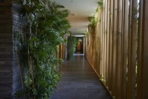 slatted wooden screens and plants line the passage to the spa at waldorf astoria cancun