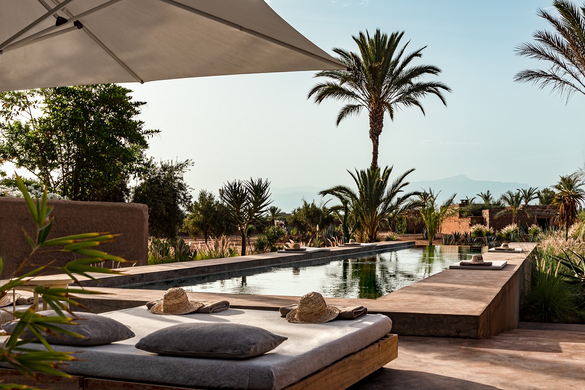 low level sun loungers under umbrellas around the swimming pool with palm trees at Villa D