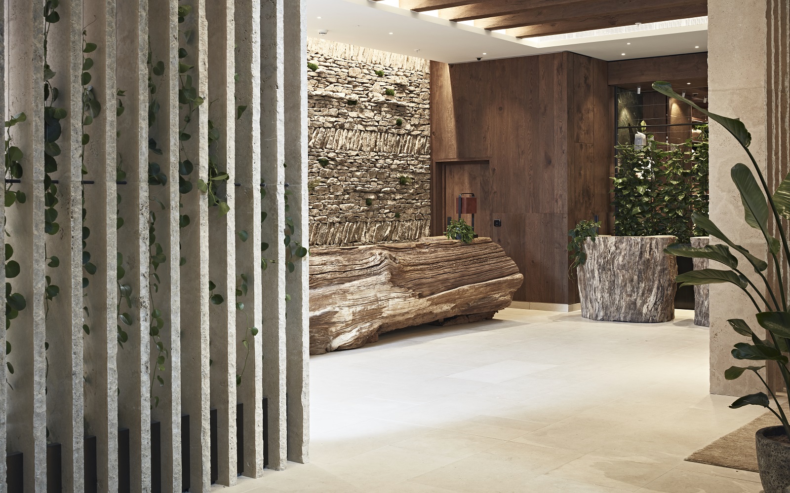stone, wood and plants in minimalistic setting of 1Hotel Mayfair reception