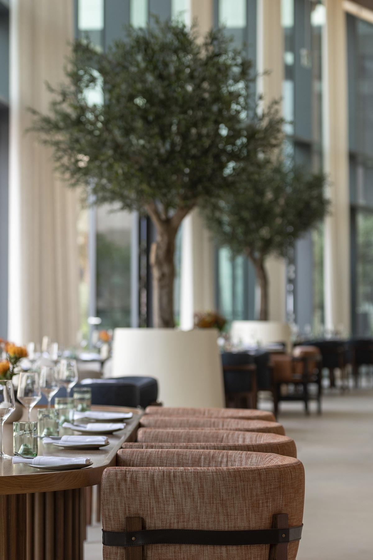 brown dining chairs and wooden tables next to olive trees and glass windows in hotel restaurant by LW Design