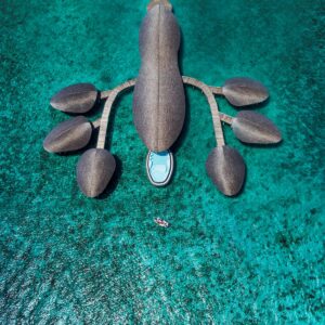 aerial view of lobster inspired shape of the spa at The St. Regis Maldives Vommuli Resort surrounded by the ocean