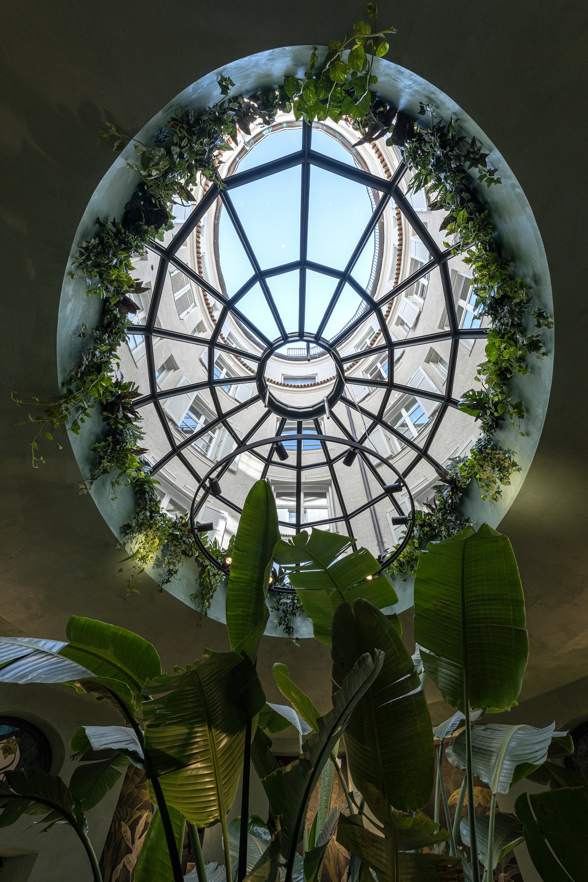 looking up from the ground into the elliptical skylight above the cafe surrounded by plants