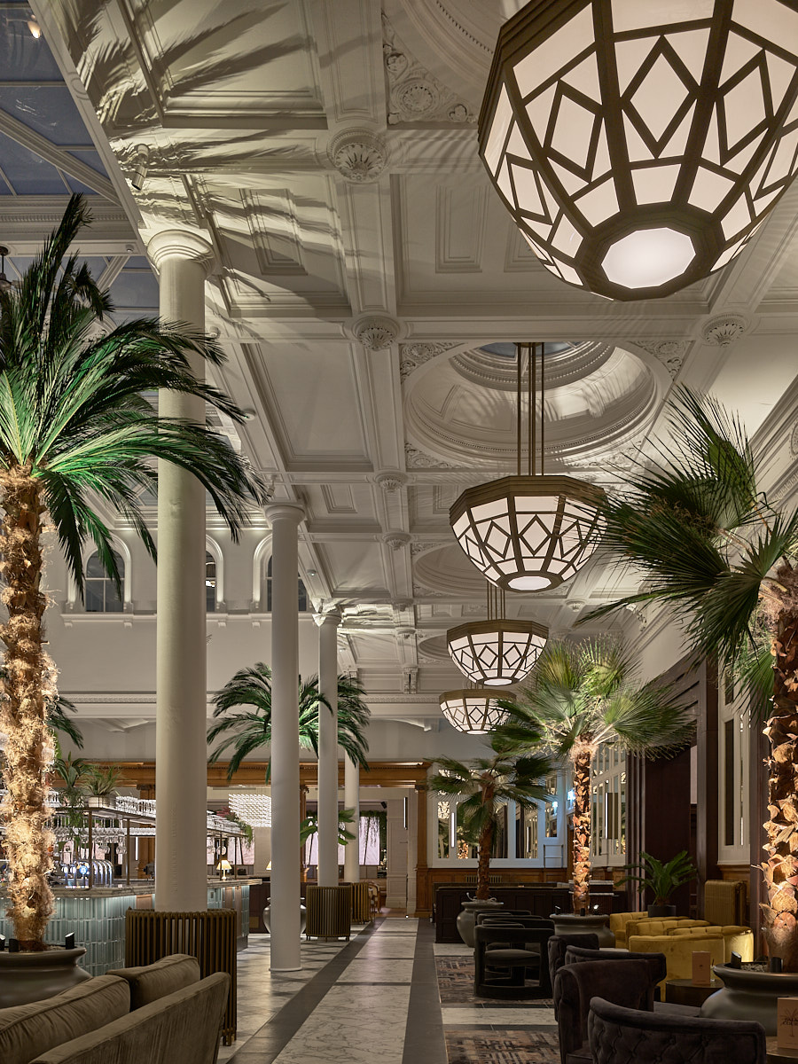 lighting in the palm court with palm trees and suspended lights with brass detailing and pattern