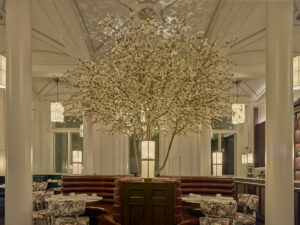 illuminated branches and pendant lights in the restaurant in The Municipal