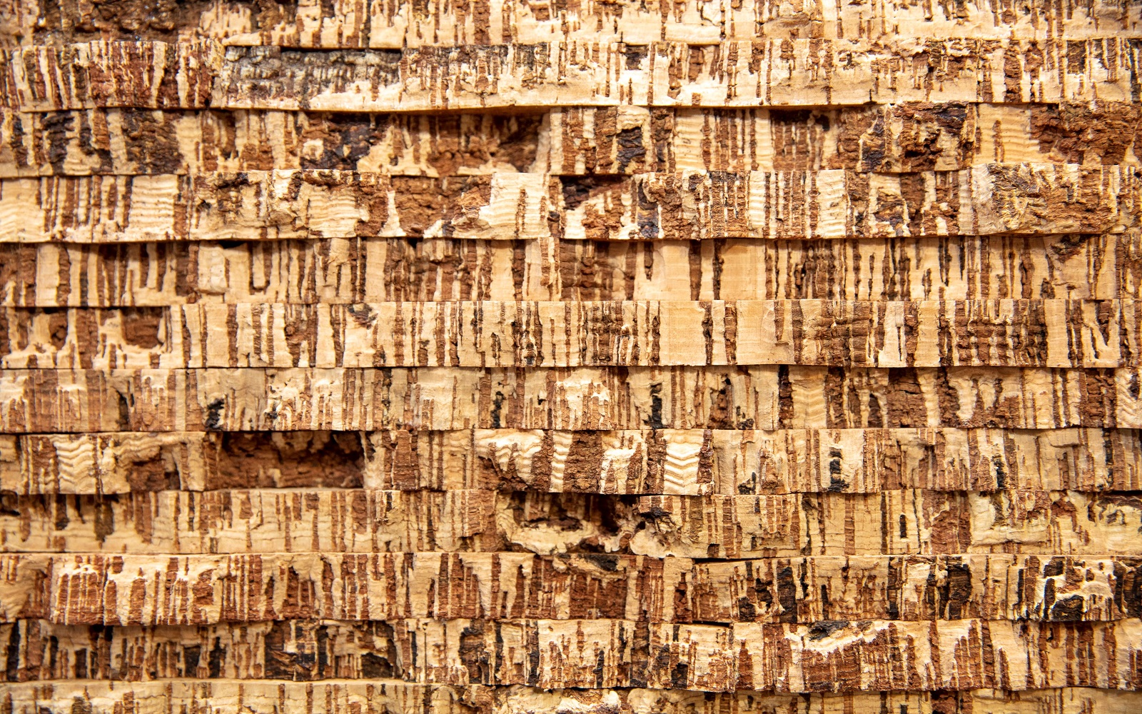 close up of cork panels with rough bark texture from Granorte