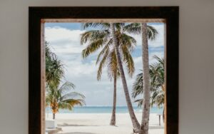 view through hotel window to beach and palm trees