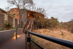 curved pathway leading up to primary buildings at Madwaleni River Lodge