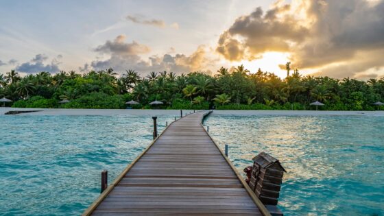 A wooden jetty leading to a tropical island in the Maldives