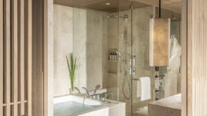 wooden screen and bamboo in the bathroom