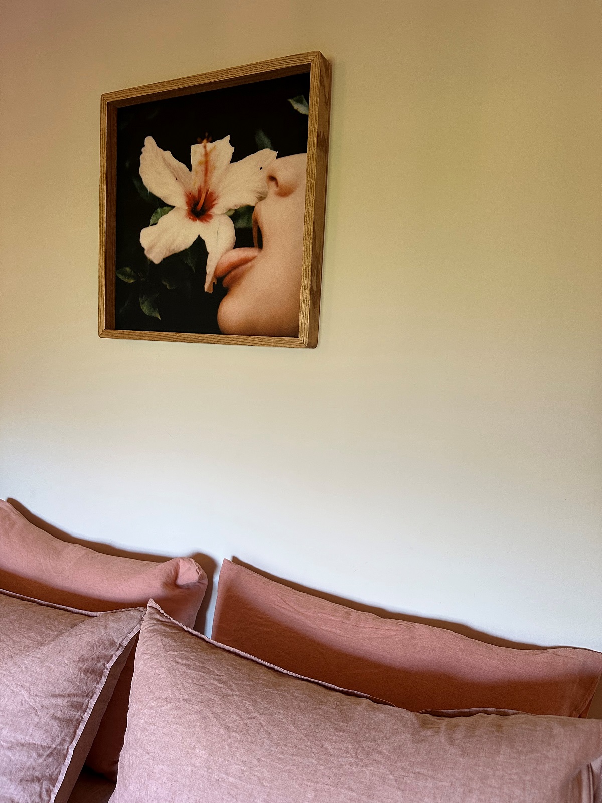 pink couch and art in Hotel Corazon