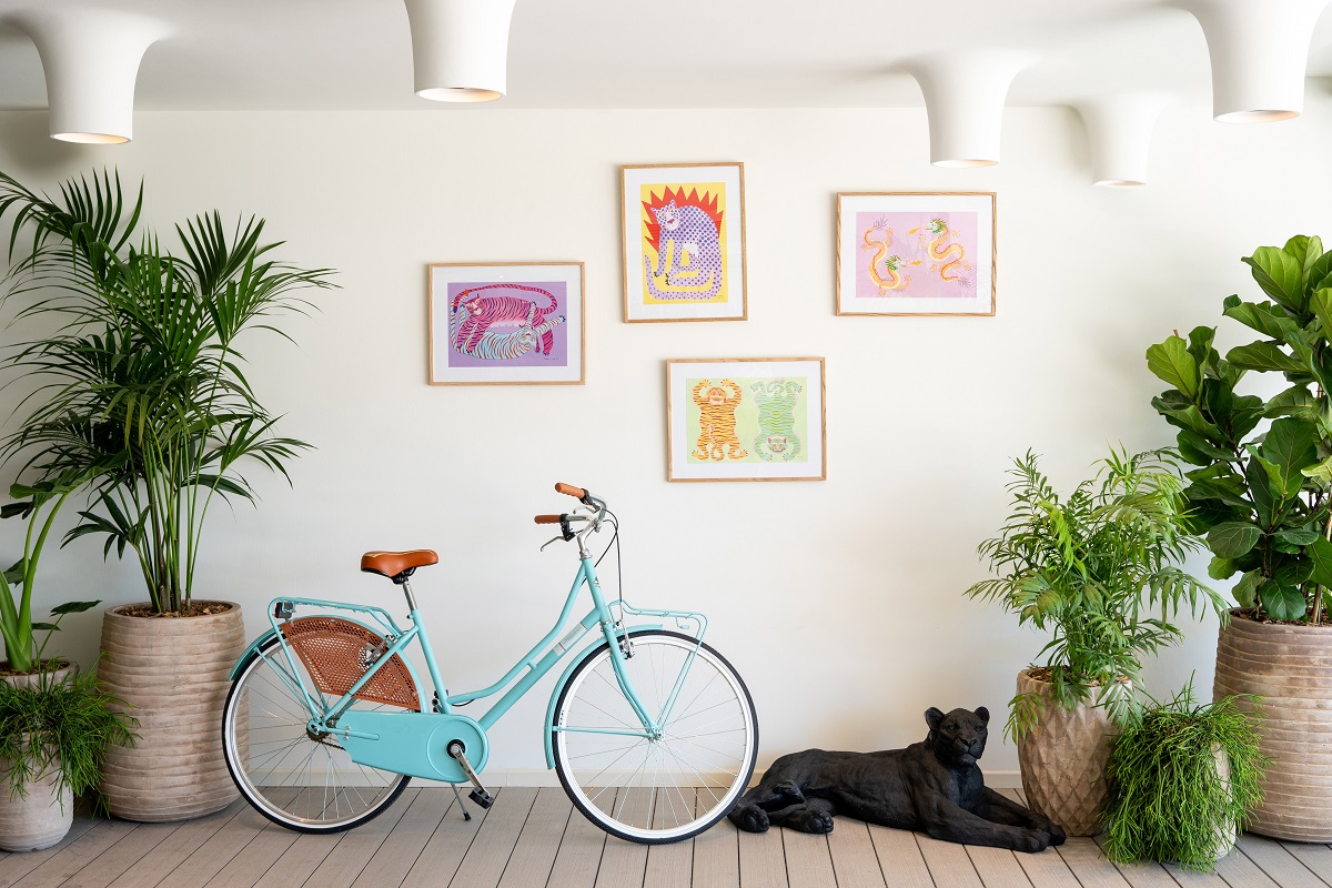 hotel lobby with blue bicycle, pot plants and art work on a white wall