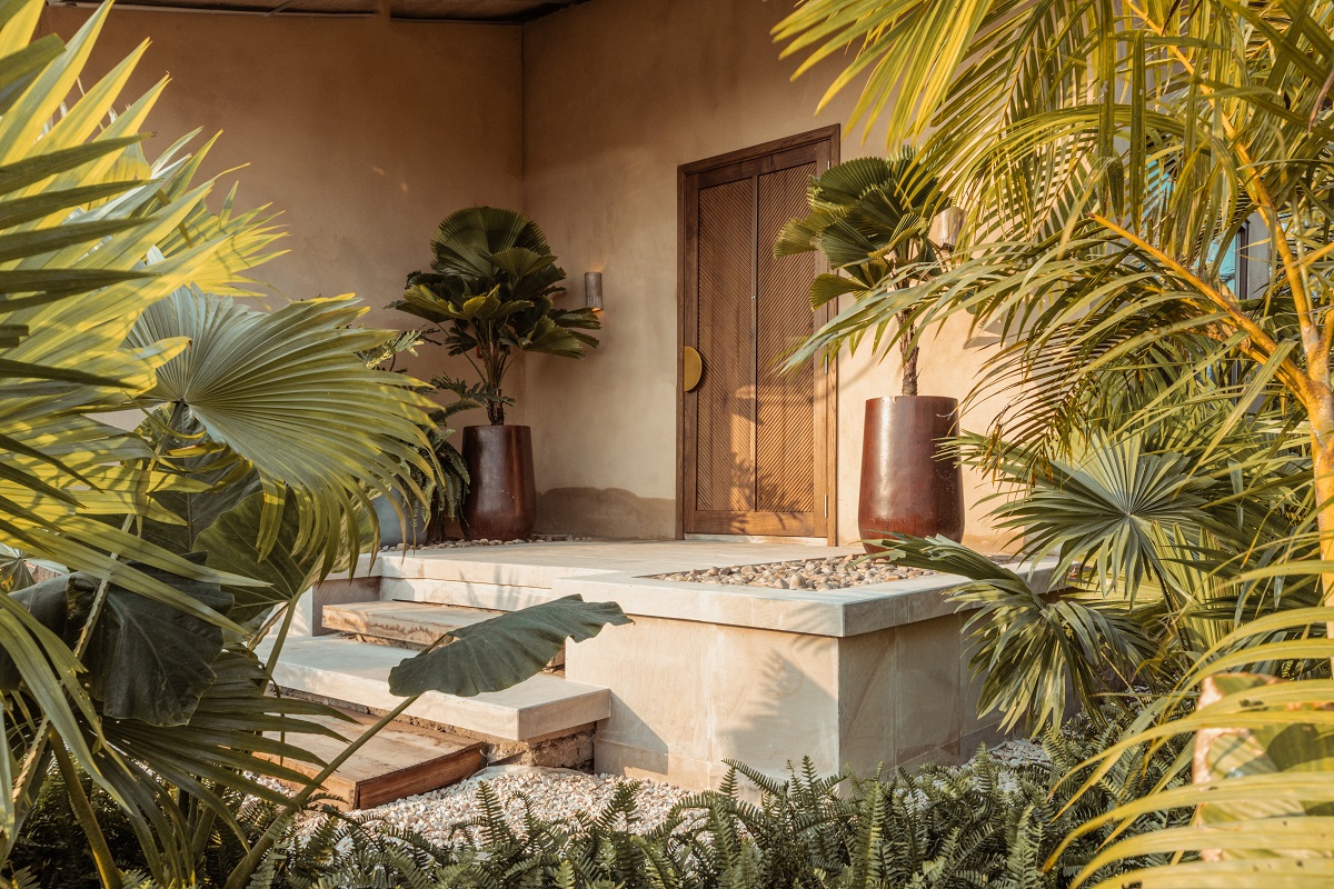 palm tree lined entrance to bungalow at Naima river Retreat