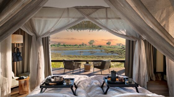 view from bed in tented camp Daunara in the Okavango delta
