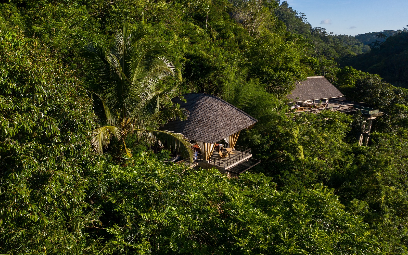 Buahan Banyan Tree Bali view from the treetops