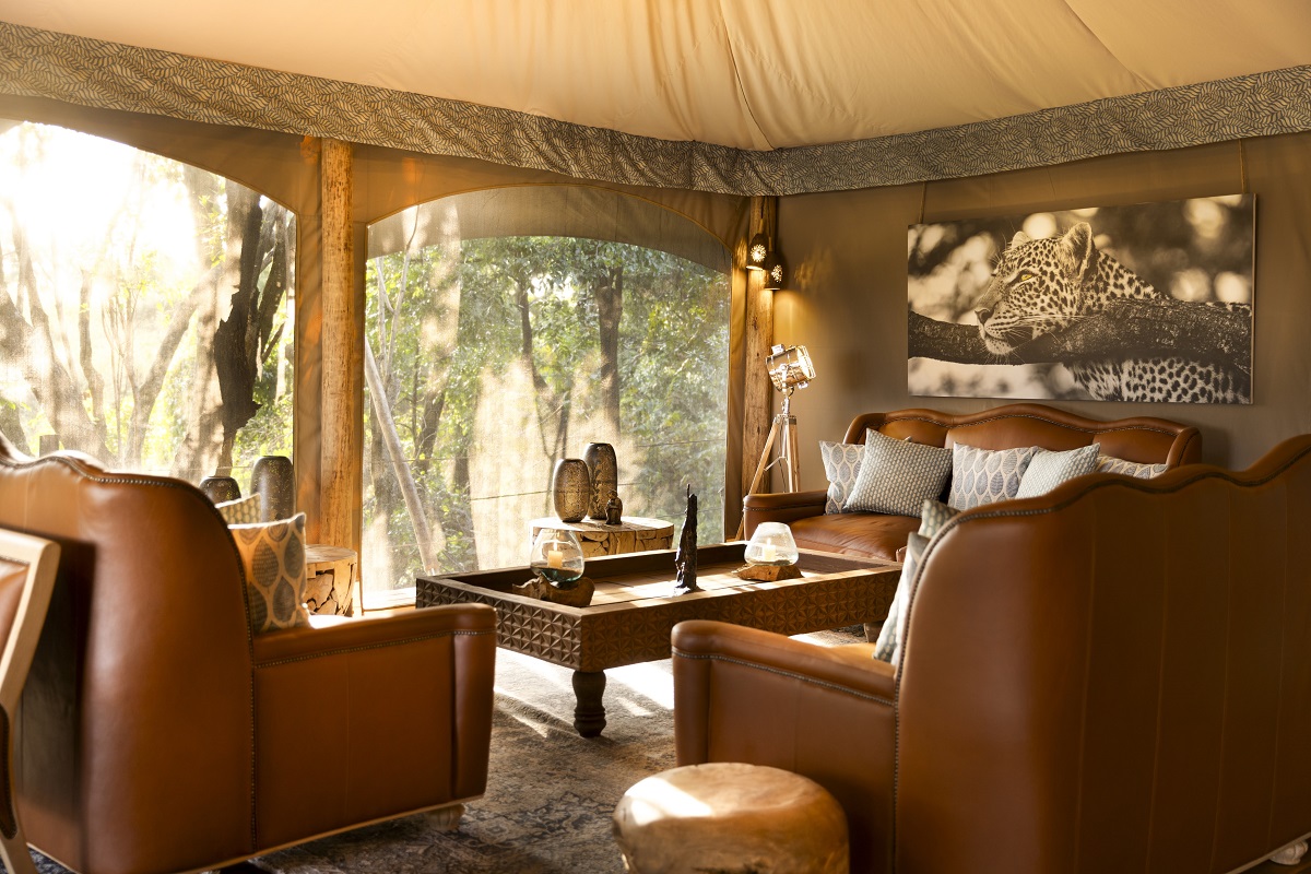 leather chairs in tented camp with views into tree tops