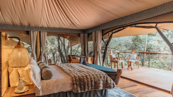 tented treetop camp bedroom in Mara Toto Tree camp